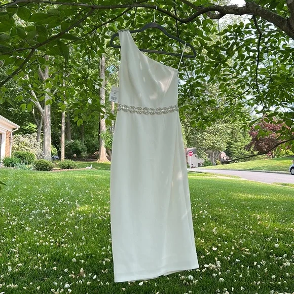 NWT Dress The Population “NOA” Dress - Picture 14 of 16